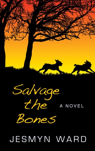 Salvage the Bones (Wheeler Large Print Book)
