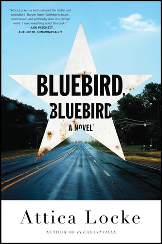 Bluebird, Bluebird (A Highway 59 Novel Book 1)