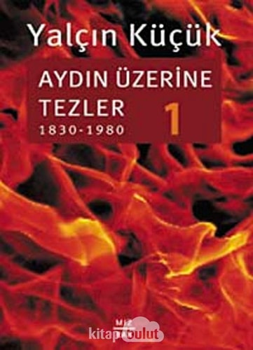 AYDIN ÜZERİNE TEZLER 1 (Turkish Edition)