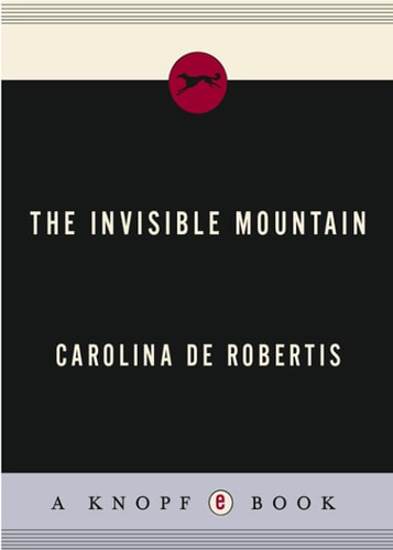 The Invisible Mountain (Vintage Contemporaries)