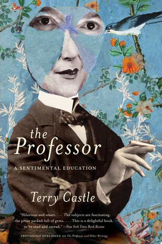 The Professor A Sentimental Education