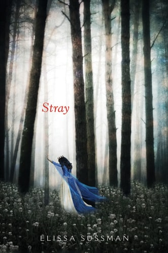 Stray (Four Sisters Book 1)