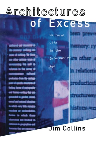 Architectures of Excess Cultural Life in the Information Age