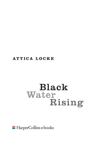 Black Water Rising: SHORTLISTED FOR THE 2010 ORANGE PRIZE FOR FICTION