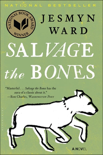 Salvage the Bones: A Novel