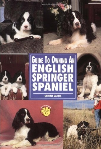 Guide to Owning an English Springer Spaniel (Re-336)