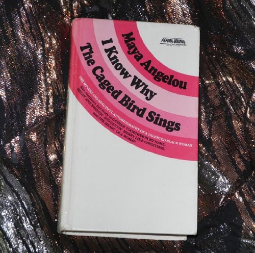 I Know Why the Caged Bird Sings