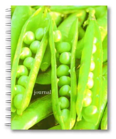Barefoot Contessa Farm Stand Wire-O Bound Journal (Potter Style)