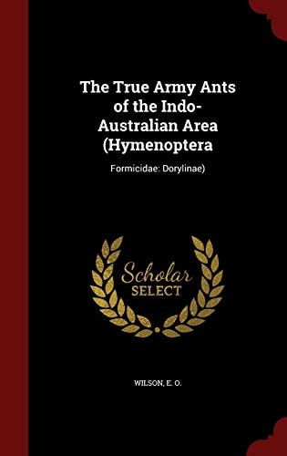 The True Army Ants of the Indo-Australian Area (Hymenoptera: Formicidae: Dorylinae)